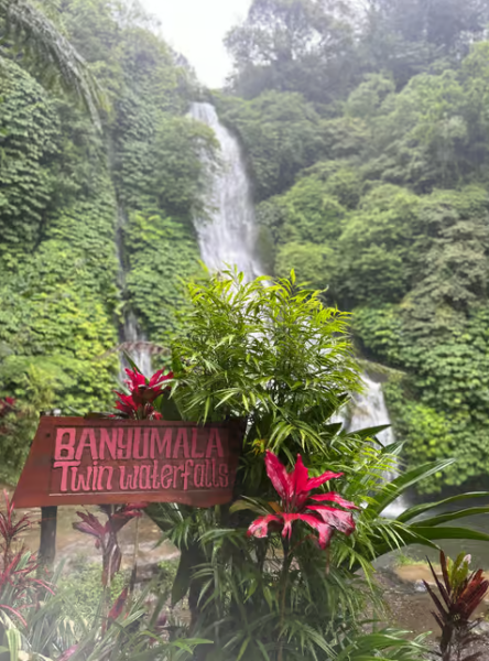 Northern Charm: Lake Bratan Handara Gate Waterfall  Swing | ®ExcursionMania