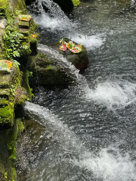Ubud: Soul Retreat  Holistic Mantra Healing Experiences | ®ExcursionMania