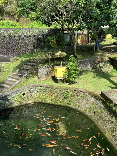 Ubud: Soul Retreat  Holistic Mantra Healing Experiences | ®ExcursionMania