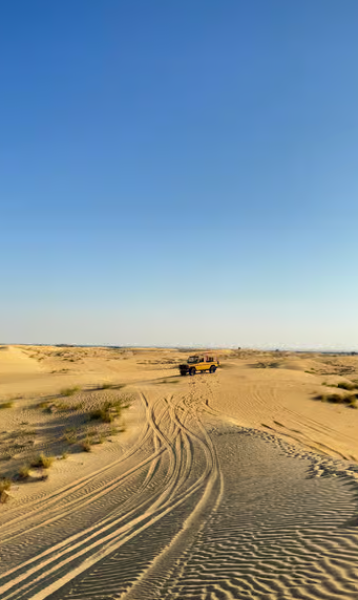Dubai: Al Marmoom Oasis Safari, Animal Spotting & Breakfast | ®ExcursionMania