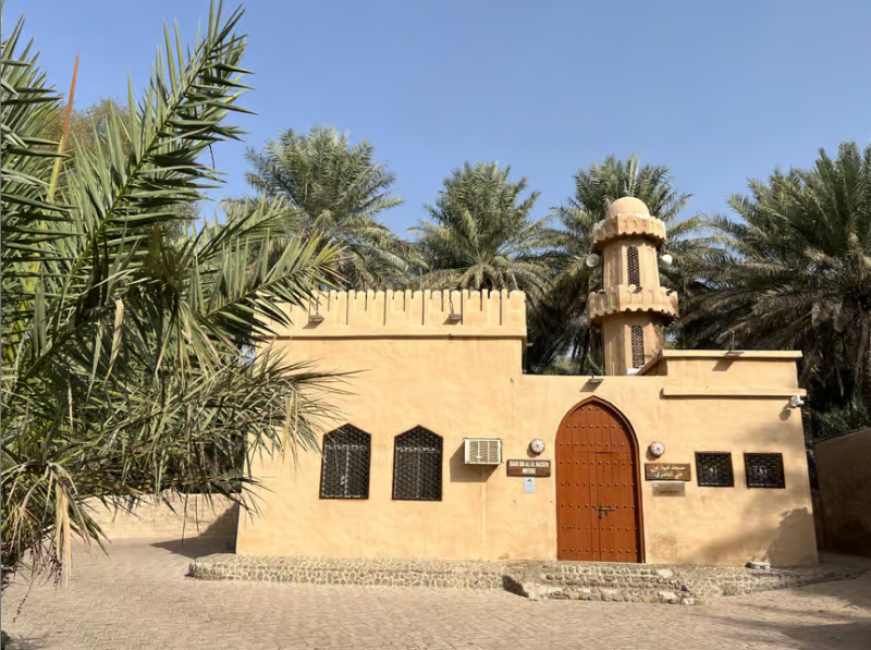 Dubai: Dubai: Al Ain Oasis, Camel Market, Old Museum & Jebel Hafeet | ®ExcursionMania