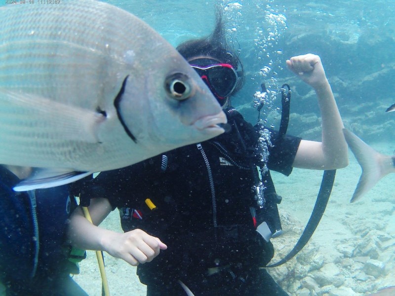 Bodrum: Bodrum Diving Tour With Hotel Transfer | ®ExcursionMania