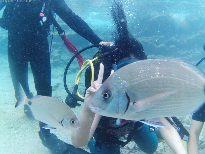 Bodrum Diving Tour With Hotel Transfer | ®ExcursionMania