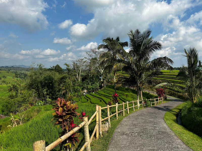 Bali UNESCO Sites: Private Guided Full-Day Tour | ®ExcursionMania