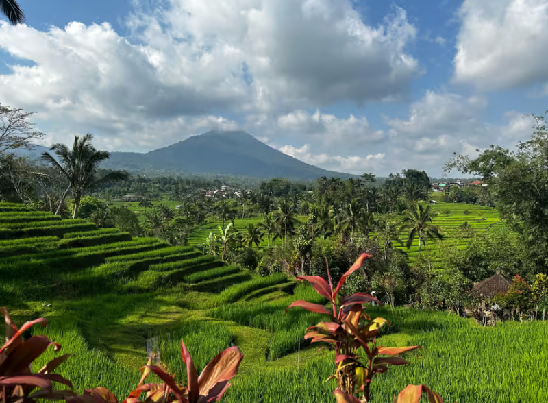 Bali UNESCO Sites: Private Guided Full-Day Tour | ®ExcursionMania
