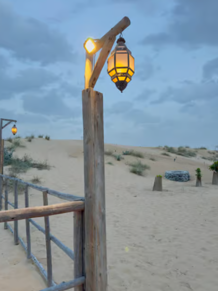 Dubai: Dubai City Tour and Evening Desert Safari Combo | ®ExcursionMania