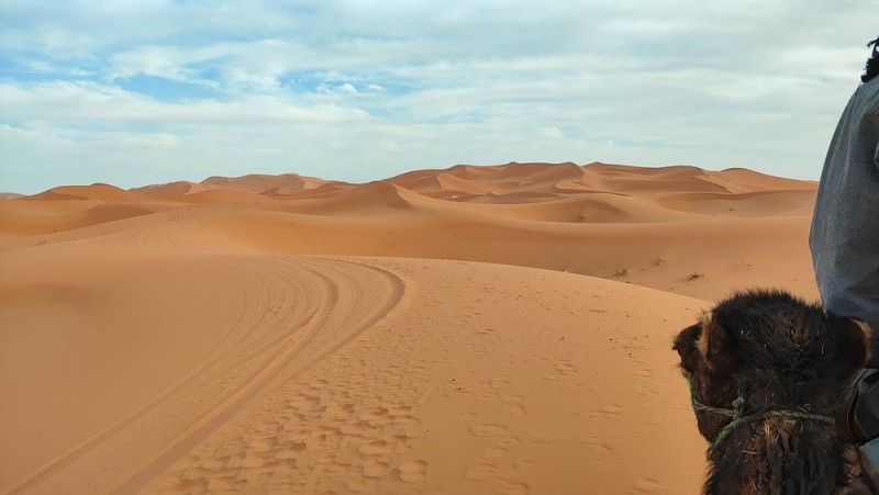 Atlas Bound: Marrakechs 5 Valleys Expedition | ®ExcursionMania
