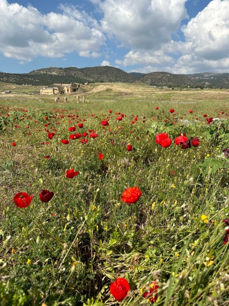 Kemer Express Pamukkale & Hierapolis Day Trip w/Meals & Pickup | ®ExcursionMania