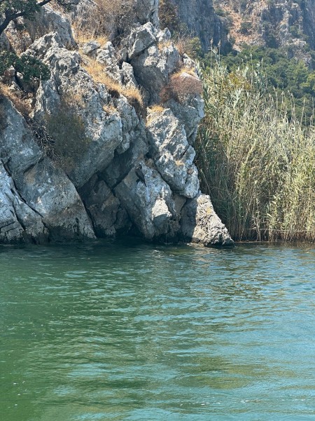 Fethiye: Fethiye: Dalyan Tour Mud Baths & Turtle Beach w/River Cruise | ®ExcursionMania