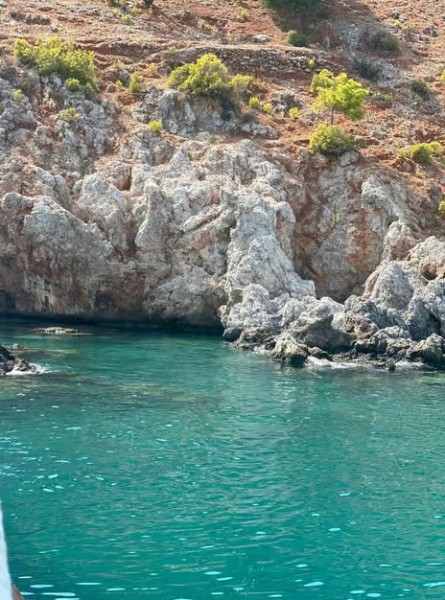 Blue Paradise: Alanya Boat Trip Experience w/Lunch and Hotel transfer | ®ExcursionMania