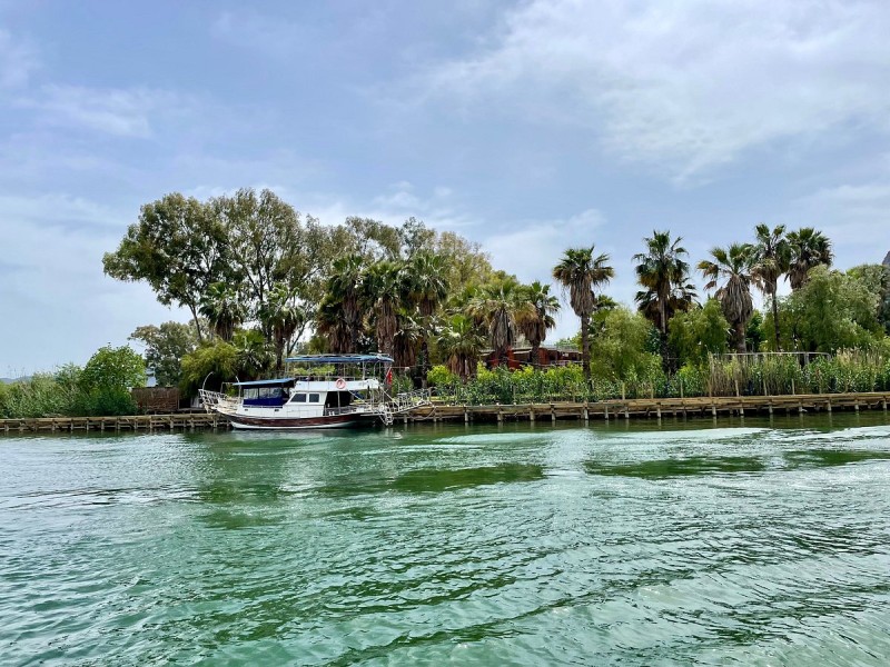 Icmeler Turtle Beach Tour W/ Mud Baths & River Cruise | ®ExcursionMania