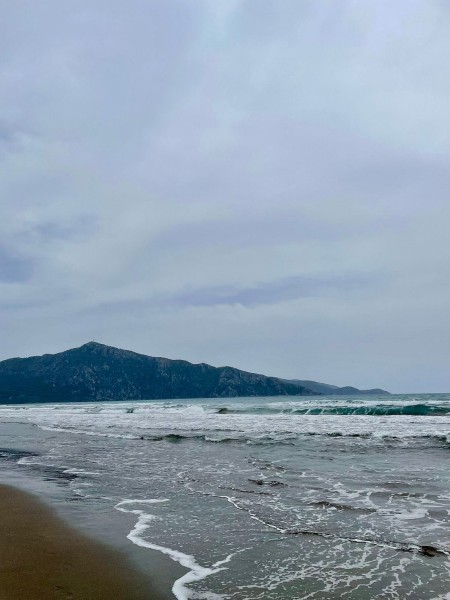 Icmeler Turtle Beach Tour W/ Mud Baths & River Cruise | ®ExcursionMania