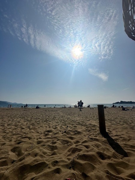 Icmeler Turtle Beach Tour W/ Mud Baths & River Cruise | ®ExcursionMania