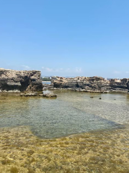 Side: Dolphin Island Boat Trip with Lunch & Unlimited Drinks | ®ExcursionMania