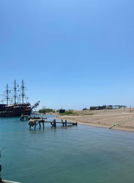 Side: Dolphin Island Boat Trip with Lunch & Unlimited Drinks | ®ExcursionMania