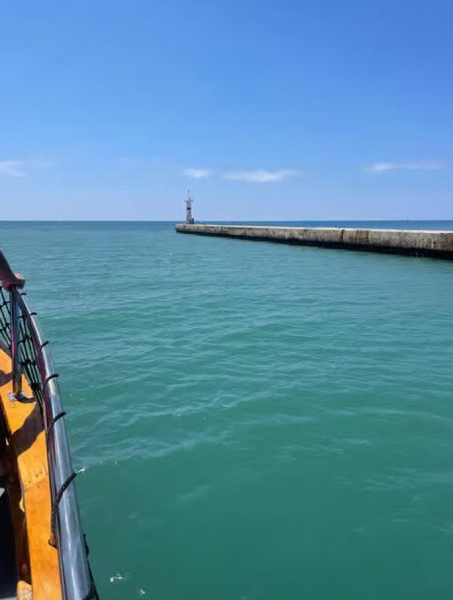 Side: Dolphin Island Boat Trip with Lunch & Unlimited Drinks | ®ExcursionMania