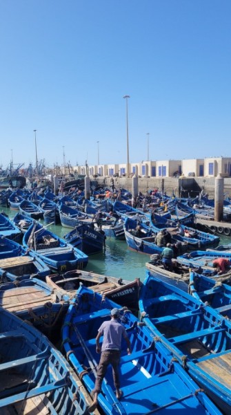 From Marrakech:  Essaouira Day Trip The Ancient Mogador City and Coast | ®ExcursionMania