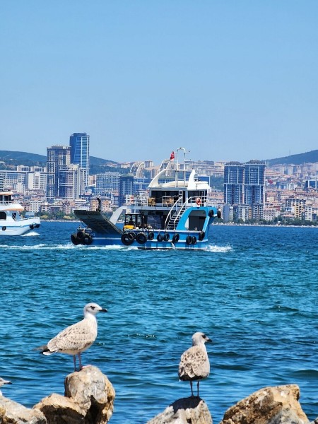 Istanbul: Princess Islands with Lunch and Hotel Transfer | ®ExcursionMania