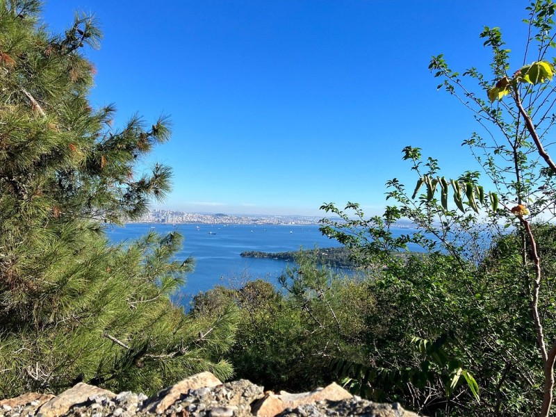 Istanbul: Princess Islands with Lunch and Hotel Transfer | ®ExcursionMania