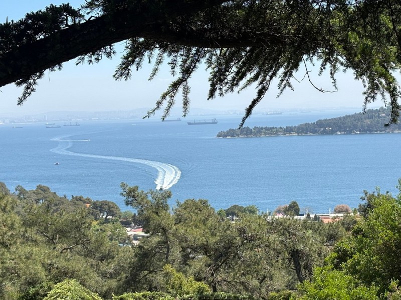 Istanbul: Princess Islands with Lunch and Hotel Transfer | ®ExcursionMania
