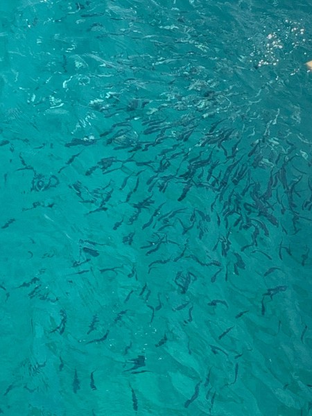 Marmaris: Boat Trip with Unlimited Drinks and BBQ Lunch | ®ExcursionMania