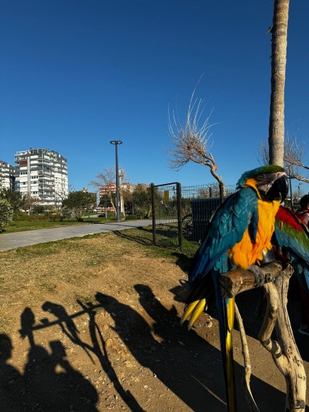 Antalya Sightseeing City Tour With Waterfalls & Cable Car | ®ExcursionMania