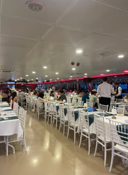 Bosphorus Night Cruise with Dinner & Live Performances | ®ExcursionMania