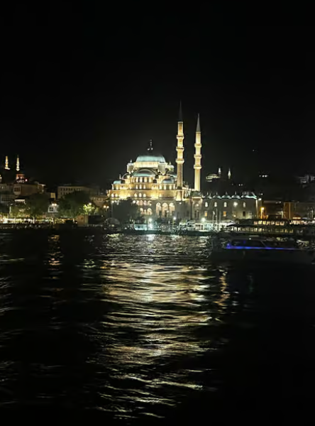 Bosphorus Night Cruise with Dinner & Live Performances | ®ExcursionMania