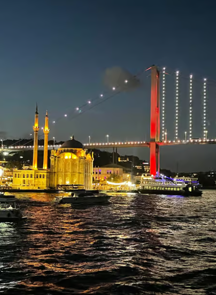 Bosphorus Night Cruise with Dinner & Live Performances | ®ExcursionMania