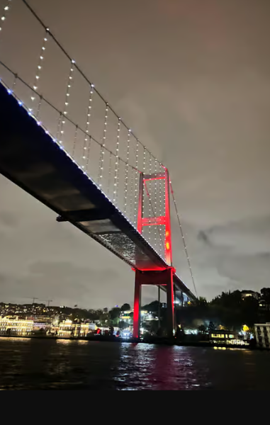 Bosphorus Night Cruise with Dinner & Live Performances | ®ExcursionMania