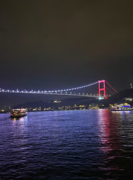 Bosphorus Night Cruise with Dinner & Live Performances | ®ExcursionMania