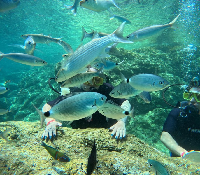 Marmaris: Marmaris Snorkeling Tour:  Discover Marmaris’ Secret Aquatic World | ®ExcursionMania