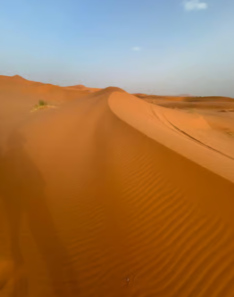 From Marrakech: Merzouga 3-Day Desert Safari with Food | ®ExcursionMania