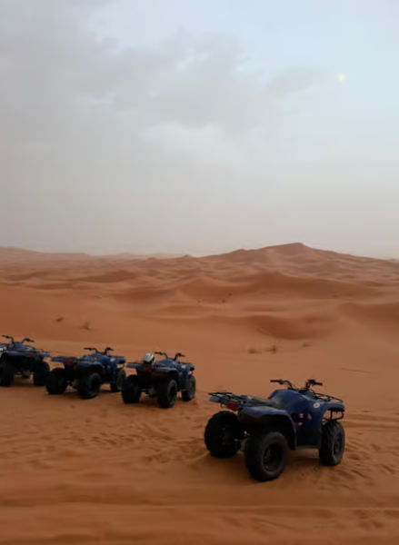 From Marrakech: Merzouga 3-Day Desert Safari with Food | ®ExcursionMania