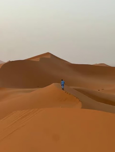 From Marrakech: Merzouga 3-Day Desert Safari with Food | ®ExcursionMania