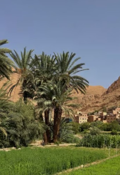 From Marrakech: Merzouga 3-Day Desert Safari with Food | ®ExcursionMania