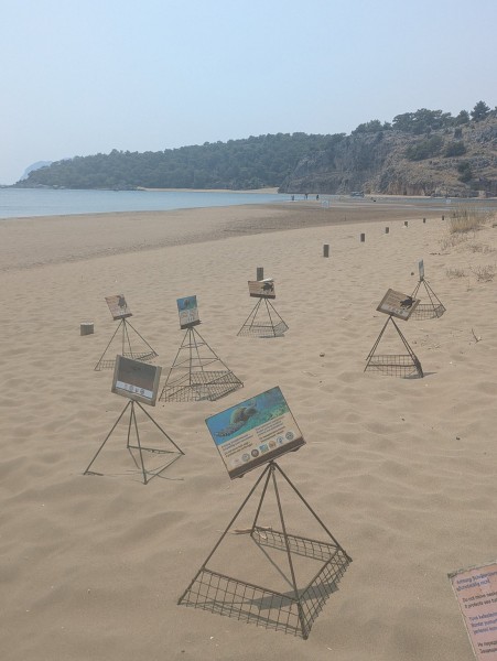 Last Day Marmaris Turtle Beach Tour With Dalaman Airport | ®ExcursionMania