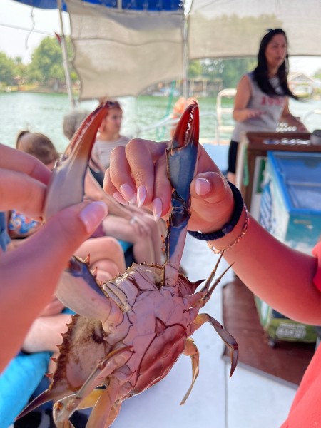 Marmaris: Last Day Marmaris Turtle Beach Tour With Dalaman Airport | ®ExcursionMania