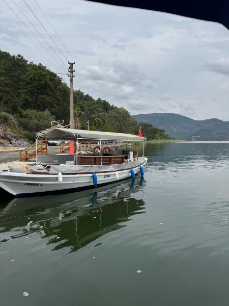 From Fethiye: Dalyan Mud Baths and Turtle Beach Day Tour | ®ExcursionMania