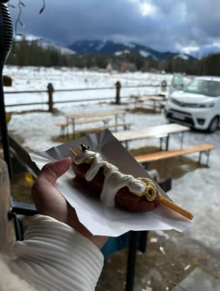 Krakow: From Zakopane: Snowmobile Ride with Thermal Pools & Pickup | ®ExcursionMania
