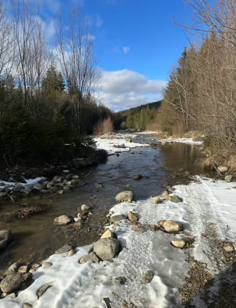 From Zakopane: Snowmobile Ride with Thermal Pools & Pickup | ®ExcursionMania