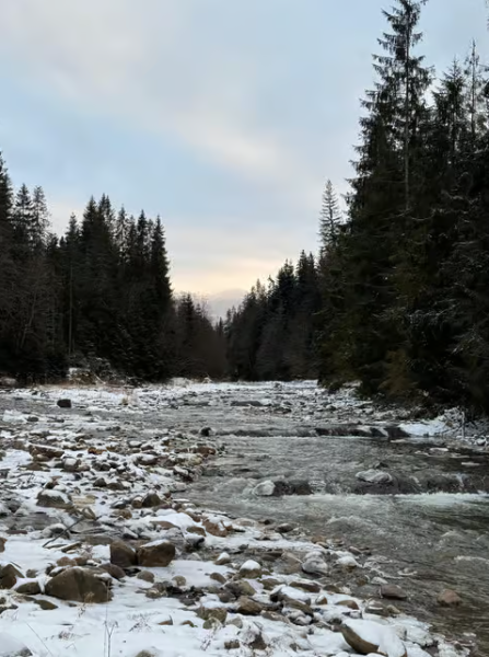Zakopane: Extreme Snowmobile Ride with Bonfire and Transfers | ®ExcursionMania
