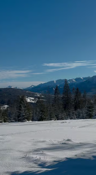 Zakopane: Extreme Snowmobile Ride with Bonfire and Transfers | ®ExcursionMania