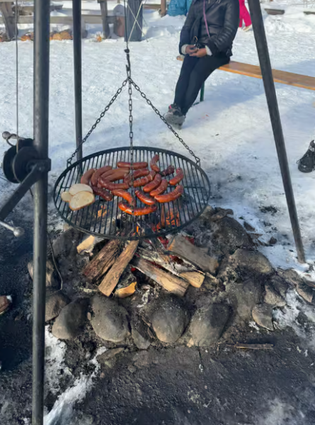 Zakopane: Extreme Snowmobile Ride with Bonfire and Transfers | ®ExcursionMania