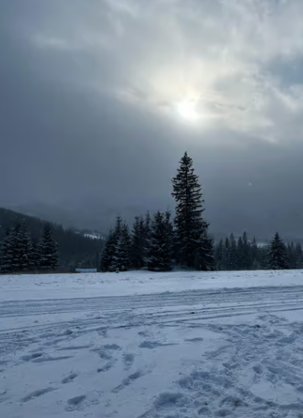 Zakopane: Extreme Snowmobile Ride with Bonfire and Transfers | ®ExcursionMania