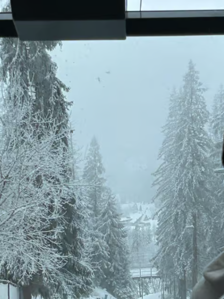 From Krakow: Zakopane Day Tour with Tasting & Funicular Ride | ®ExcursionMania