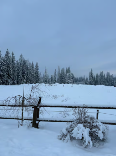 From Krakow: Zakopane Day Tour with Tasting & Funicular Ride | ®ExcursionMania