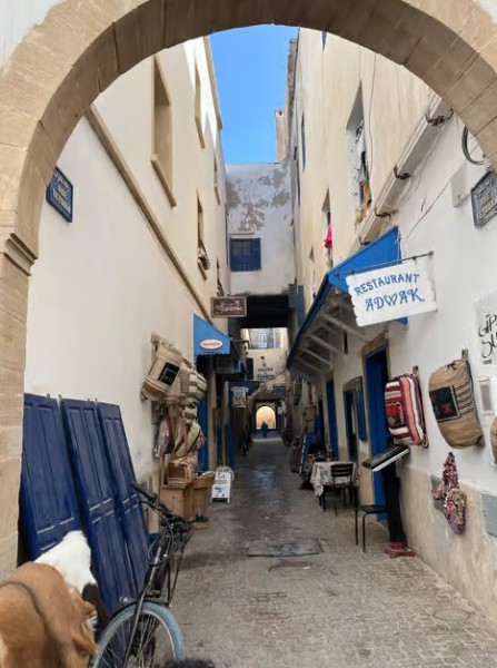 From Marrakech: Essaouira & Atlantic Coast Full-Day Trip | ®ExcursionMania