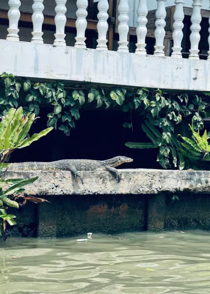 Bangkok: Private Long tail boat Canal tour | ®ExcursionMania