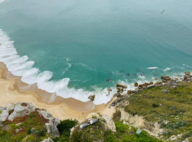 From Lisbon: Obidos, Nazaré and Fátima | ®ExcursionMania